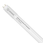 Ledvance LED Rör T8 Value (HF) Standard Output 8W 900lm - 865 Dagsljus | 60cm - Ersättare 18W