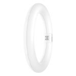 Osram LED Rör T9 Cirkulär (EM/Mains) 11W 1320lm - 865 Dagsljus | Ersättare 22W