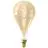 Calex XXL Splash Guld LED E27 Filament 3W 250lm- 822 Extra Varm Vit | Dimbar