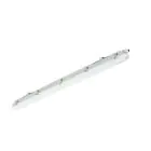 Philips LED Allmänbruksarmatur Vattentät Ledinaire WT065C 23/42W 2900/4800lm - 840 Kallvit | 120cm - Kabelgenomföring